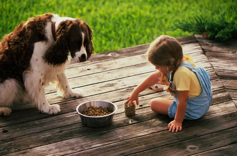 A little girl and dog are eating food.