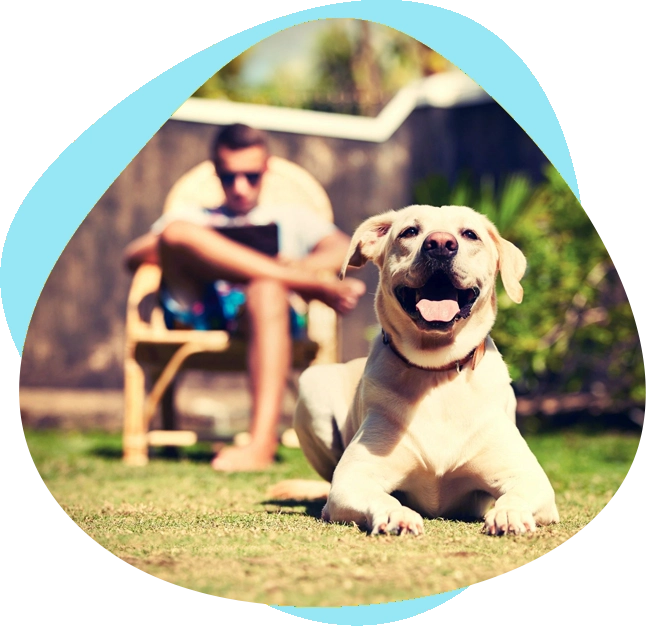 A dog sitting in the grass next to a man.