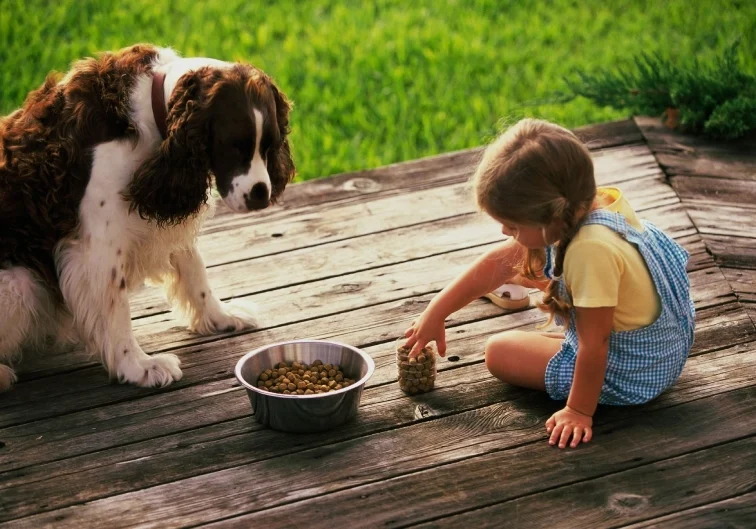 A little girl and dog are eating food.